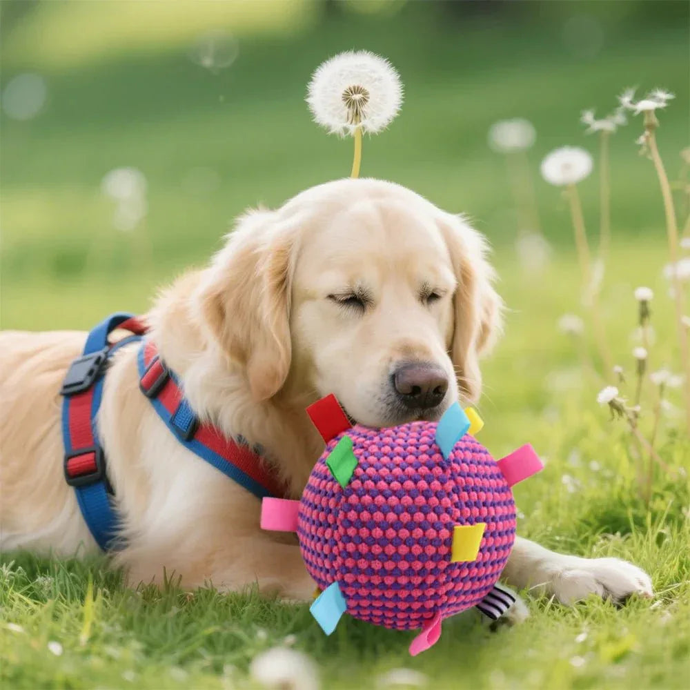 Interactive Dog Toy - Happy Tails - paws & love