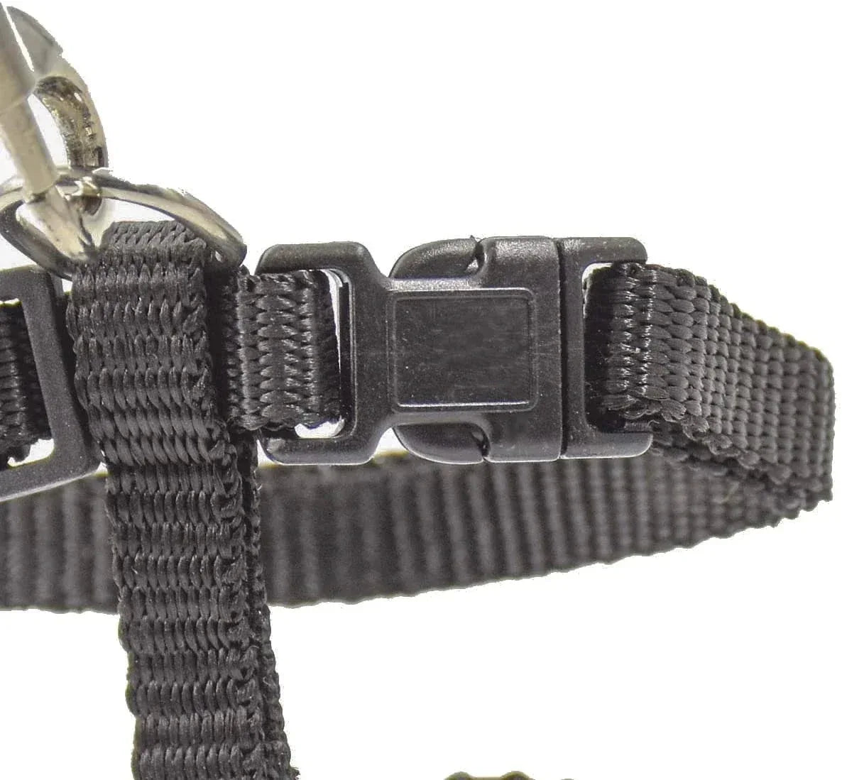 Kitten Adventures Harness & Leash Set - Happy Tails
