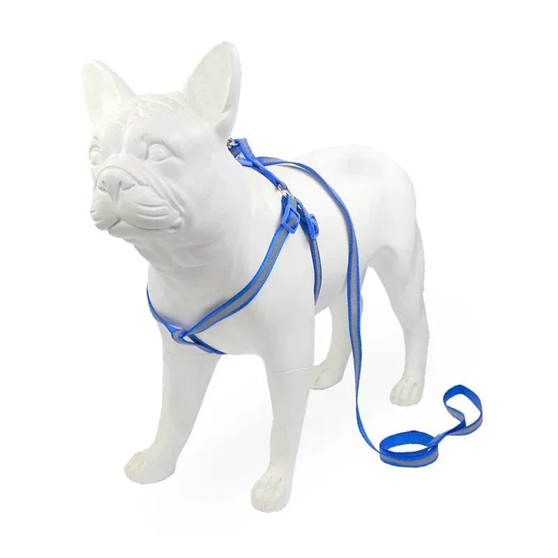 Dog Harness for Small Dogs - Happy Tails
