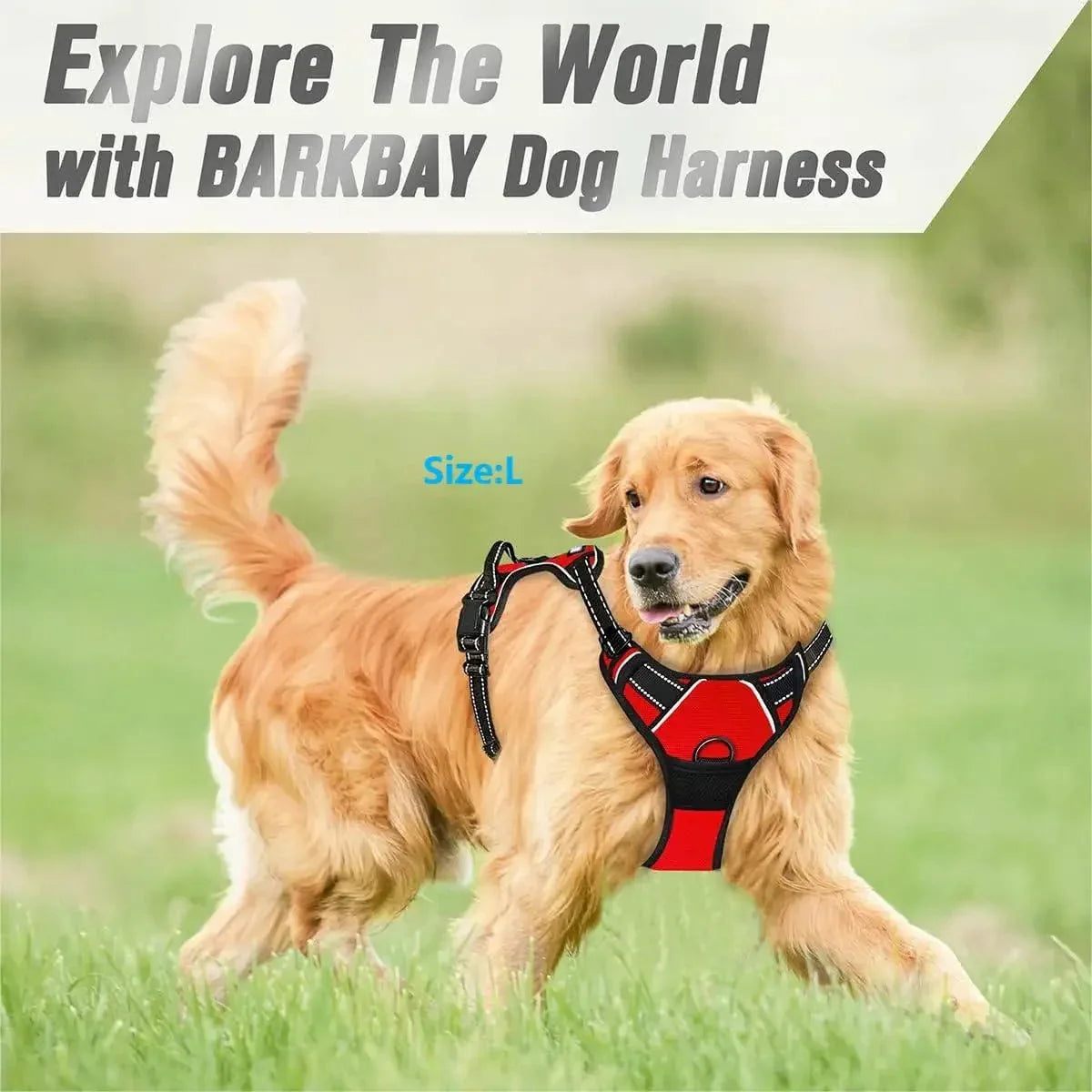 No Pull Dog Harness - Happy Tails - paws & love