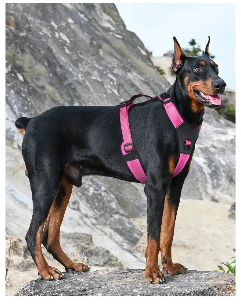 Dog Harness Reflective No-Choke - Happy Tails