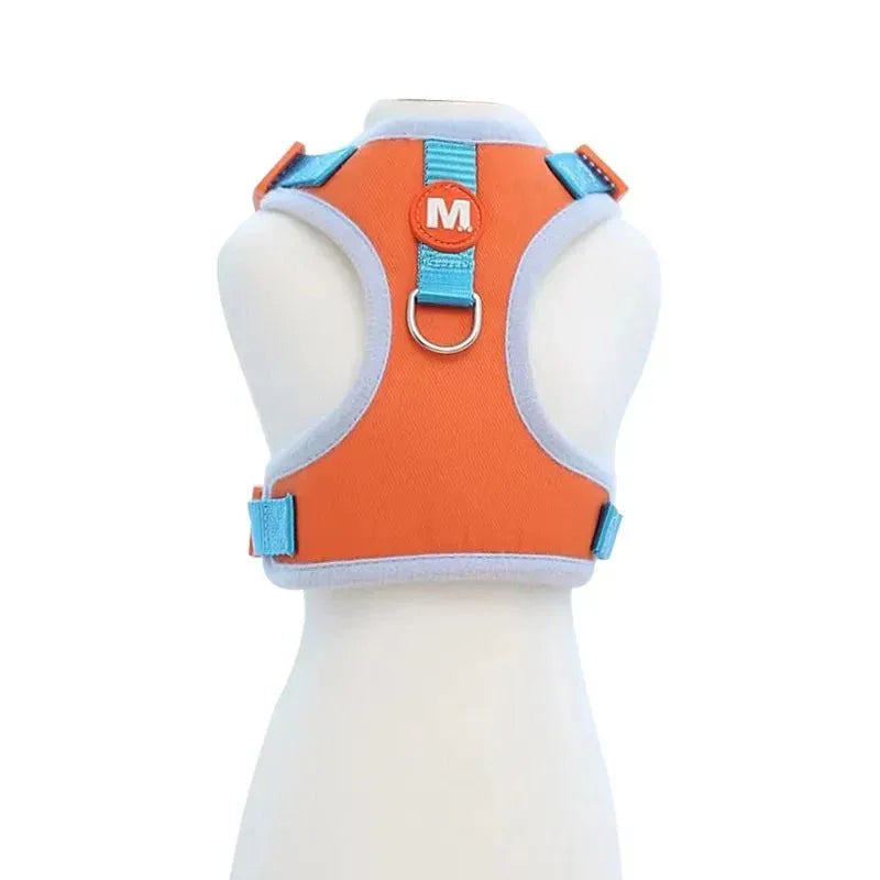 Little Harness for Stylish Pets - Happy Tails