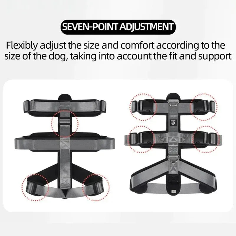 Anti-Breakaway Pet Harness for Easy Control - Happy Tails - paws & love