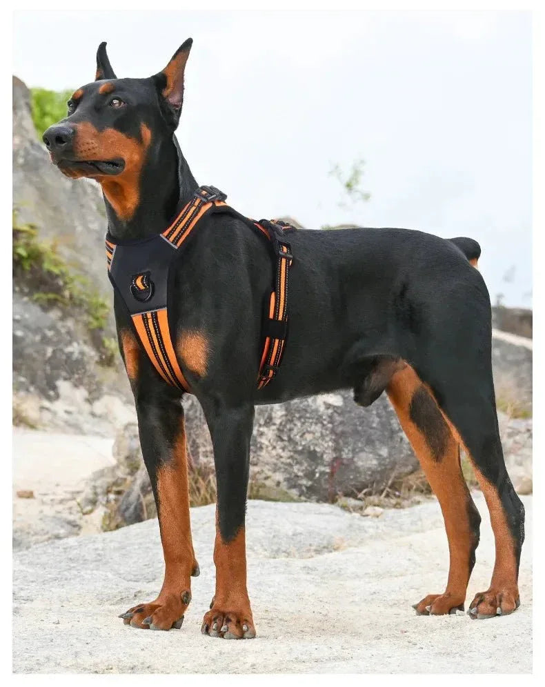 Dog Harness Reflective No-Choke - Happy Tails