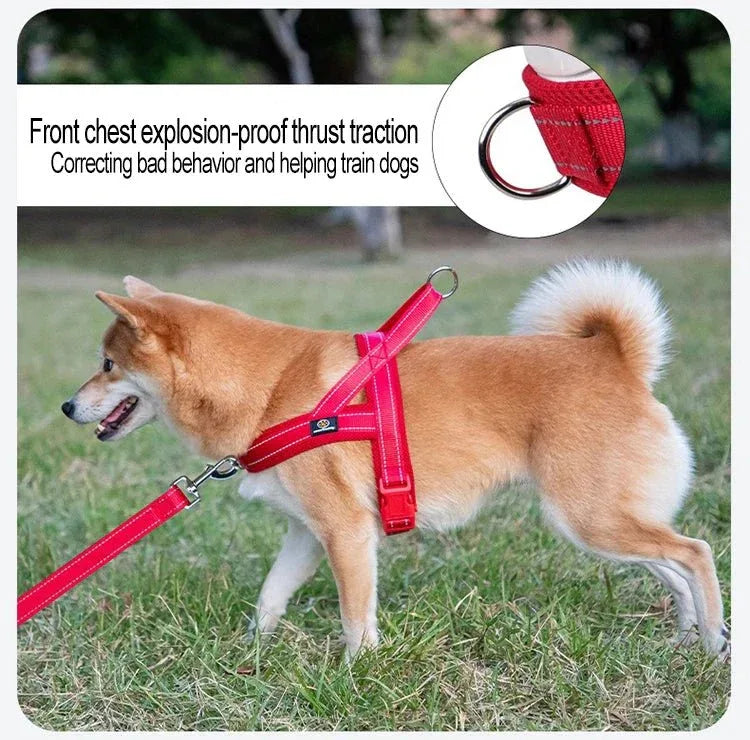 A Small Dog Harness for Comfort and Control - Happy Tails - paws & love