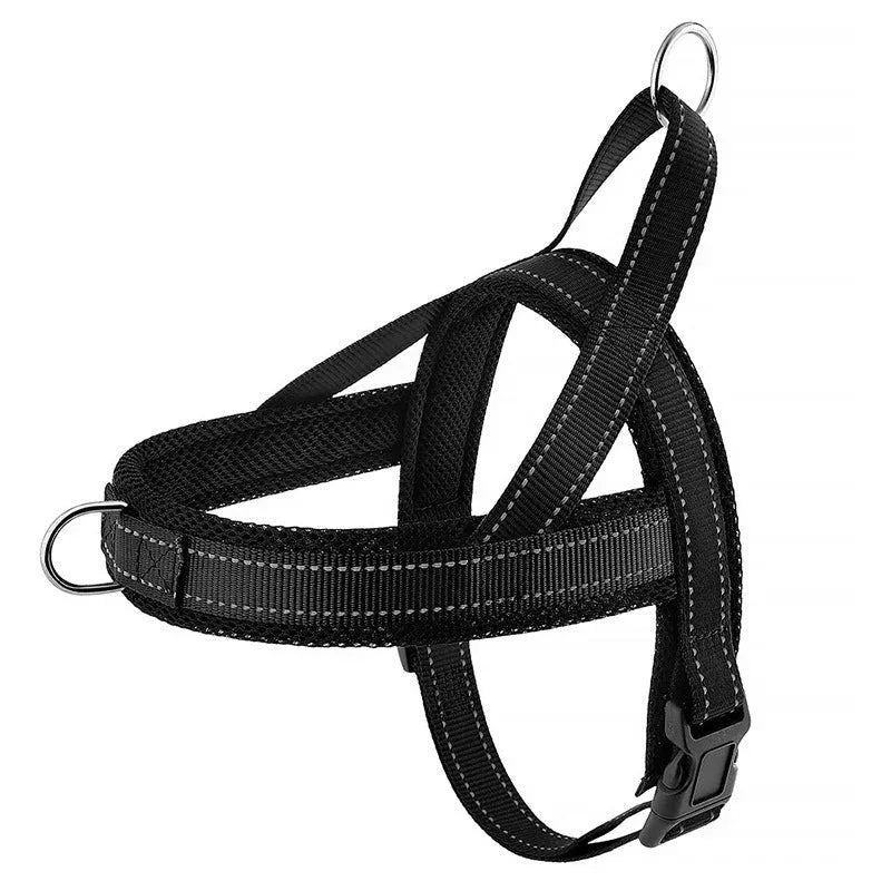 A Small Dog Harness for Comfort and Control - Happy Tails - paws & love