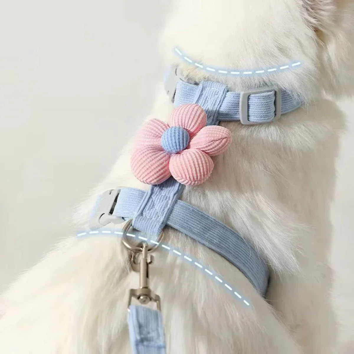 Cat Harness & Leash Set - Happy Tails - paws & love