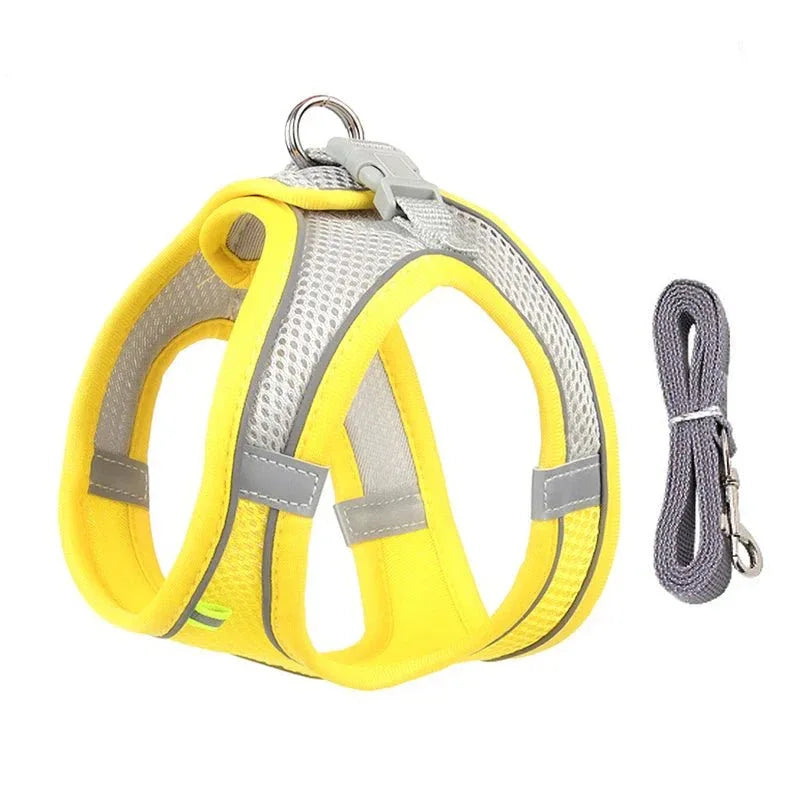 Leash & Harness Set for Small Dogs - Happy Tails