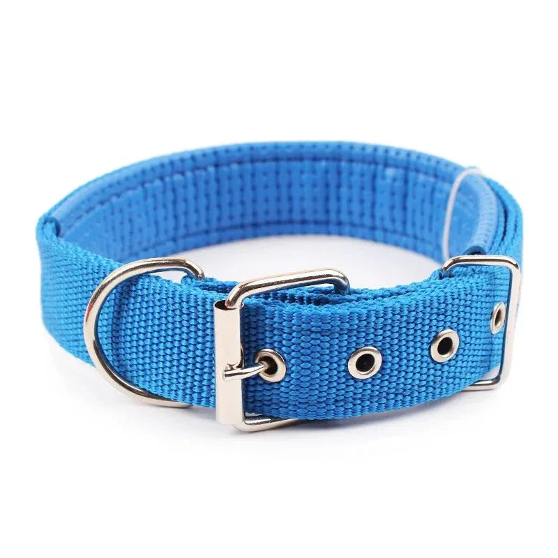 Solid Nylon Dog Collars - Happy Tails - paws & love