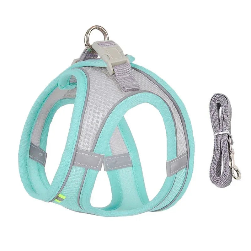 Leash & Harness Set for Small Dogs - Happy Tails