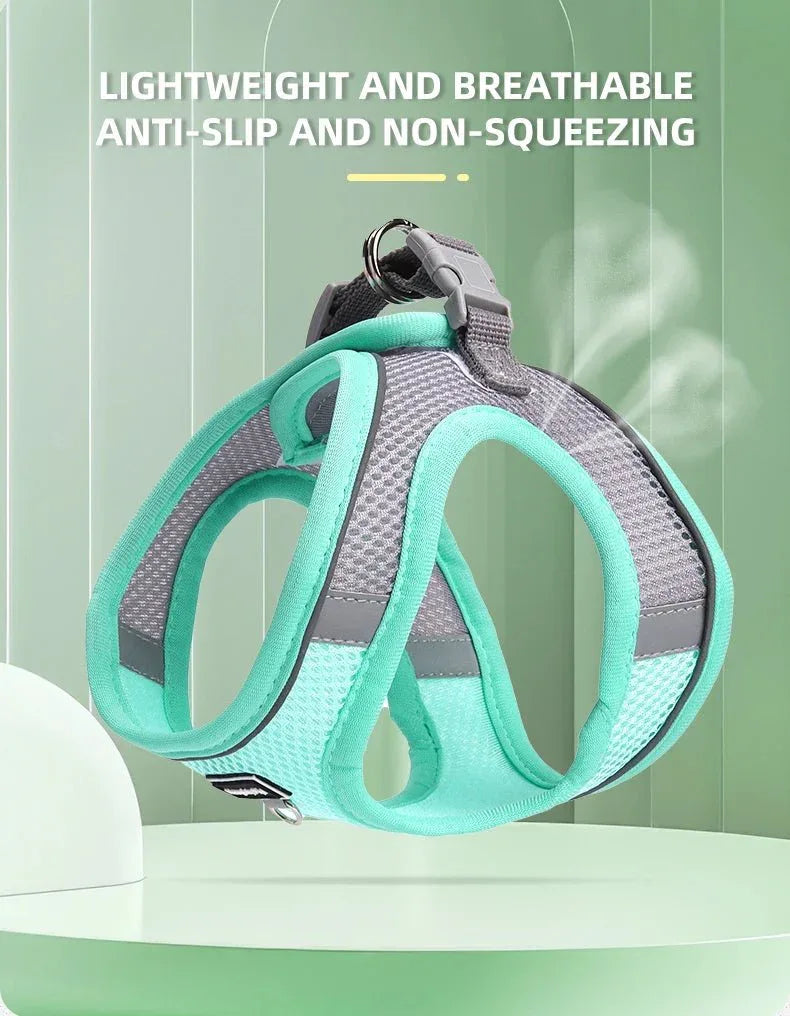 Dog Harness for Small dog - Happy Tails