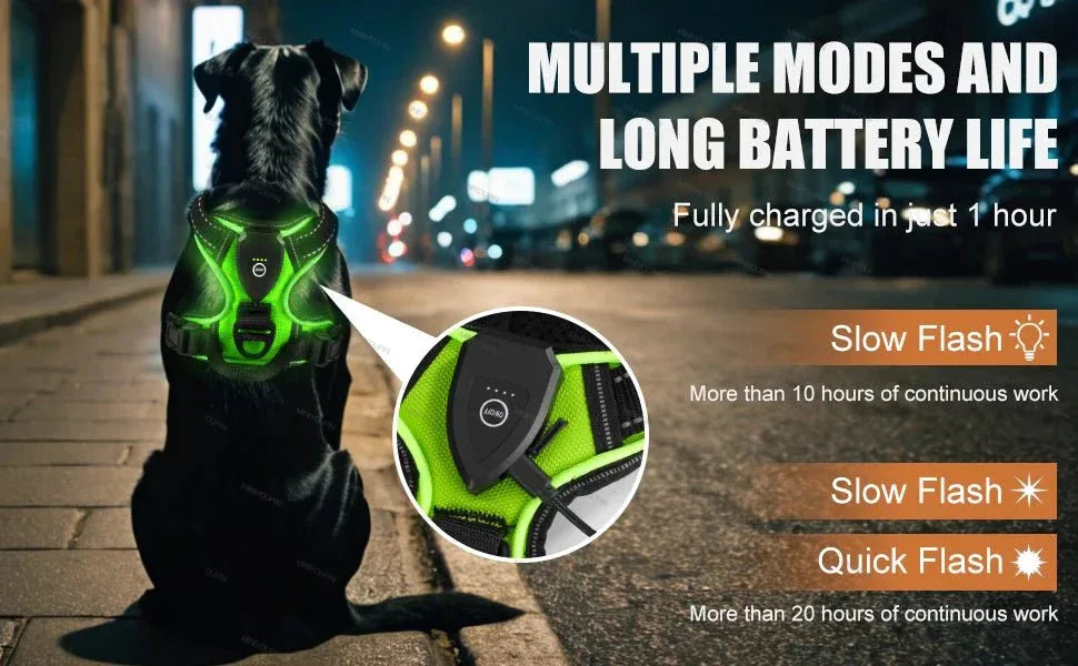 LED Dog Harness - Happy Tails