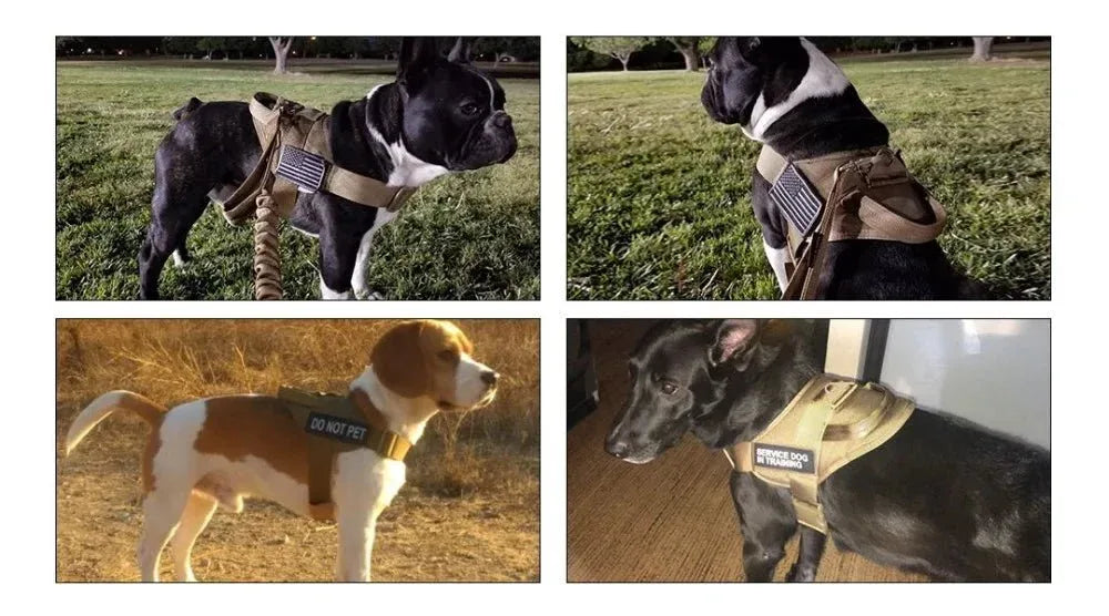 Tactical Dog Harness - Happy Tails