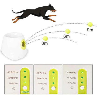 Automatic Dog Ball Launcher - Happy Tails - paws & love