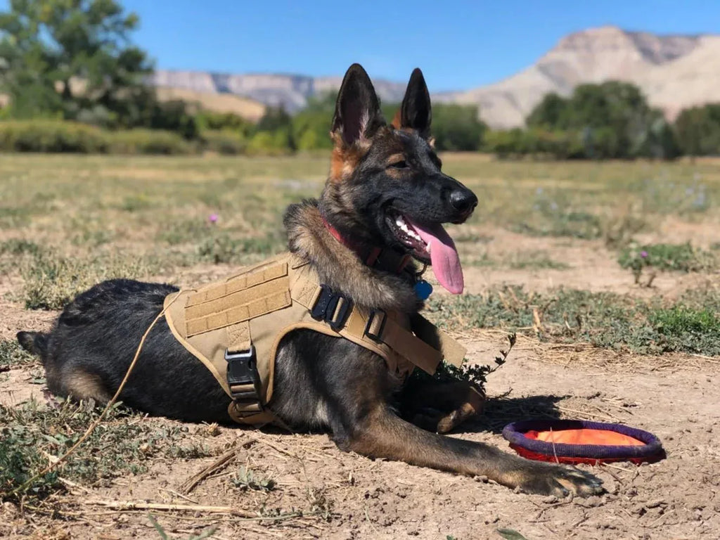 Military Dog Harness for Training - Happy Tails