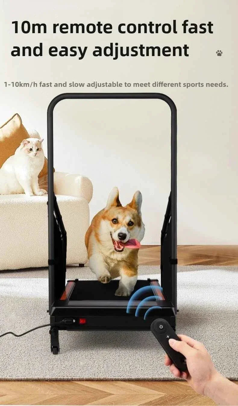 Pet Walking Machine for Indoor Exercise and Fitness - Happy Tails