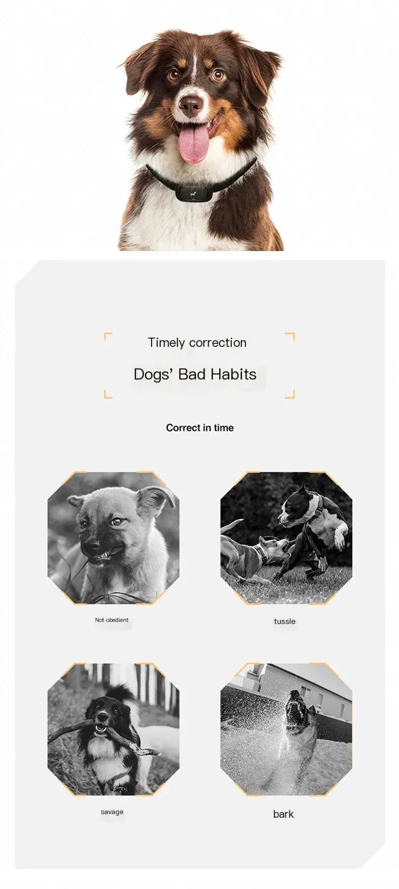 Electric Dog Training Collar - Happy Tails - paws & love