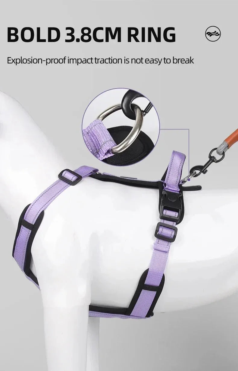Harnesses and Wear Necklaces - Happy Tails