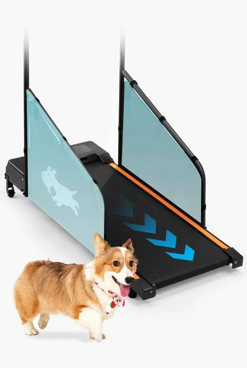Pet Walking Machine for Indoor Exercise and Fitness - Happy Tails