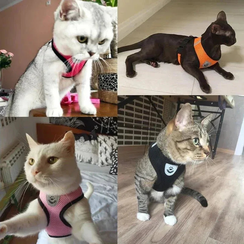 Feline Freedom Cat Harness - Happy Tails - paws & love