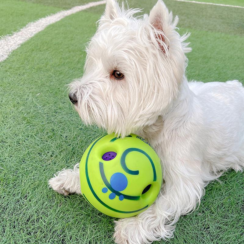 Dog Football Toy for Fun Playtime - Happy Tails - paws & love