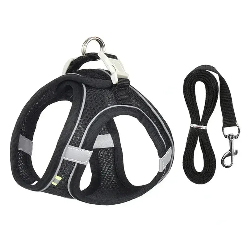 Ultimate Comfort Dog Harness - Happy Tails - paws & love