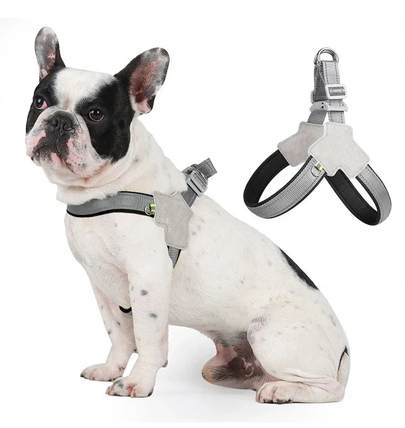 Pet Dog Harness - Happy Tails