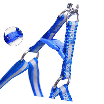 Dog Harness for Small Dogs - Happy Tails