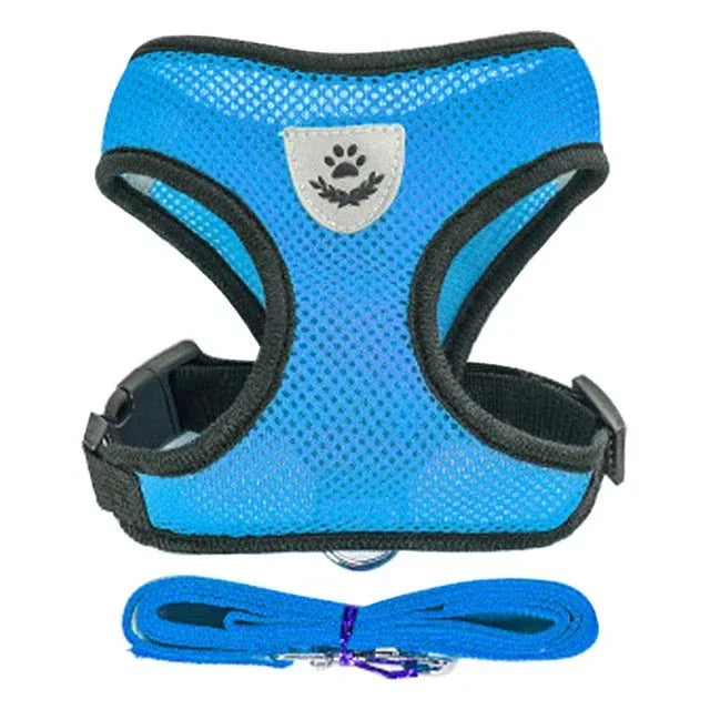 Cat Harness for Outdoor Adventures - Happy Tails - paws & love