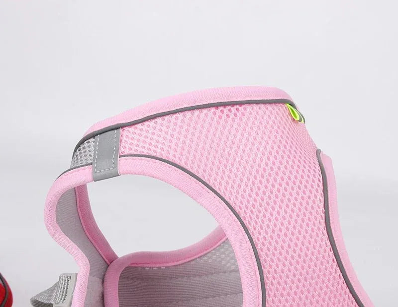 Leash & Harness Set for Small Dogs - Happy Tails