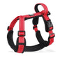 Harnesses and Wear Necklaces - Happy Tails