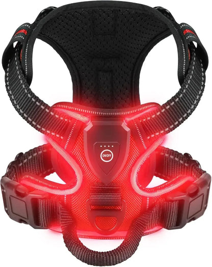 LED Dog Harness - Happy Tails