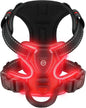 LED Dog Harness - Happy Tails