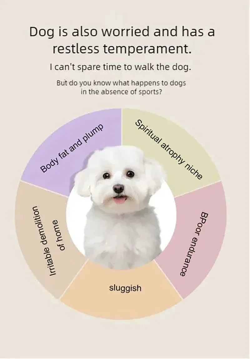 Pet Treadmill for Dogs and Cats - Happy Tails - paws & love