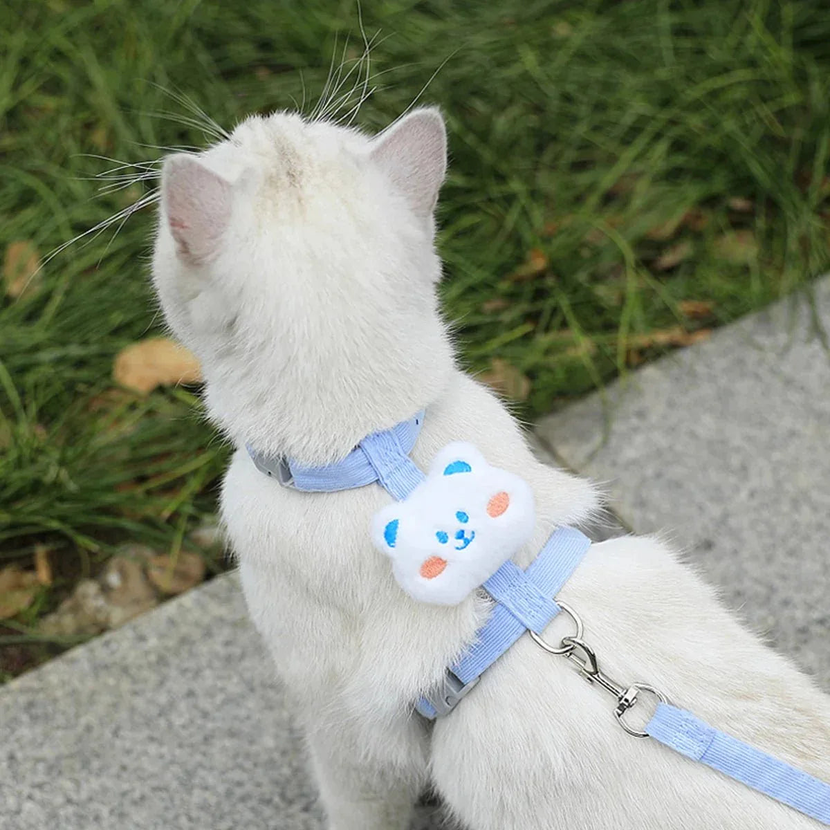 Cat Harness & Leash Set - Happy Tails - paws & love