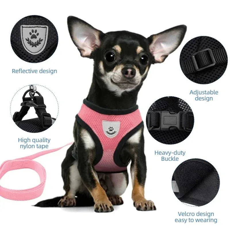 Dog Harness for Small Dogs - Happy Tails