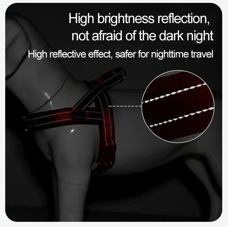 A Small Dog Harness for Comfort and Control - Happy Tails - paws & love