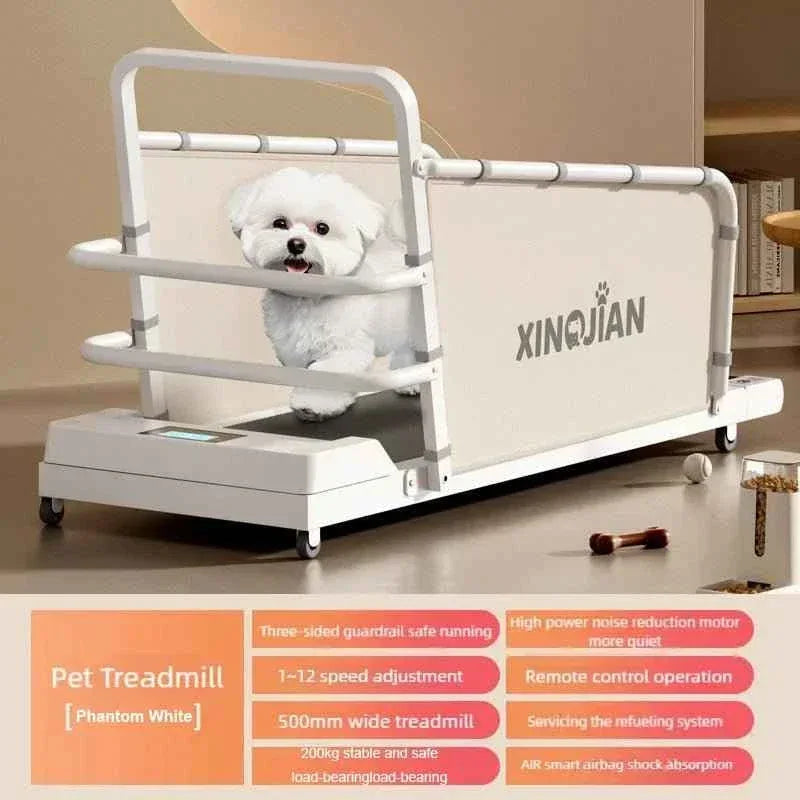 Pet Treadmill for Dogs and Cats - Happy Tails - paws & love