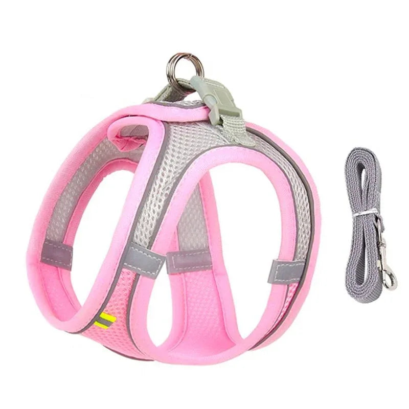 Leash & Harness Set for Small Dogs - Happy Tails