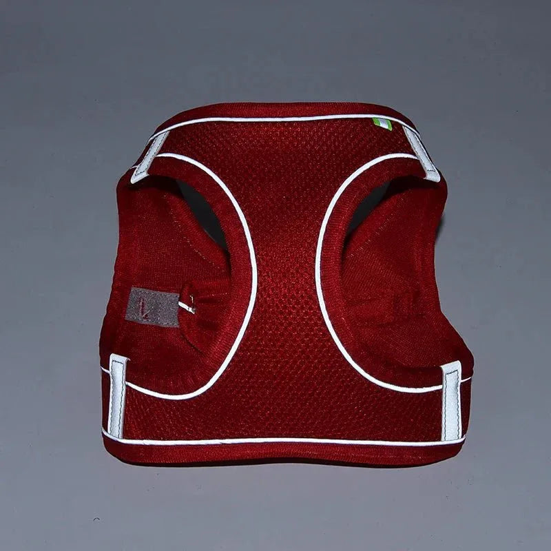 Leash & Harness Set for Small Dogs - Happy Tails