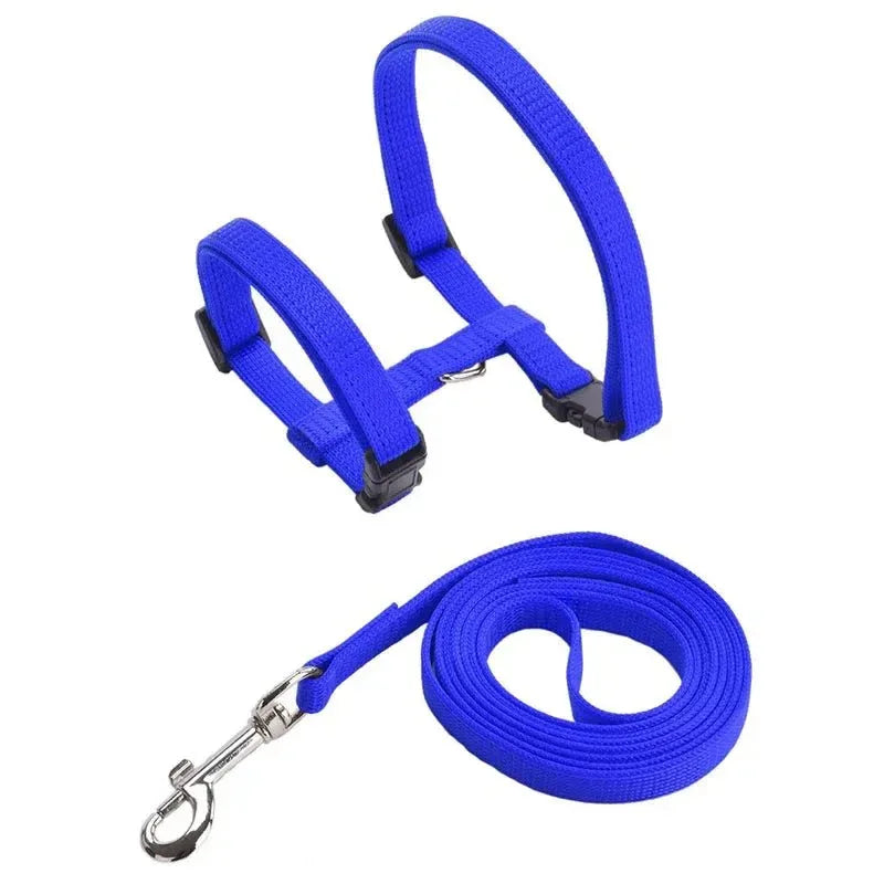 Kitten Adventures Harness & Leash Set - Happy Tails