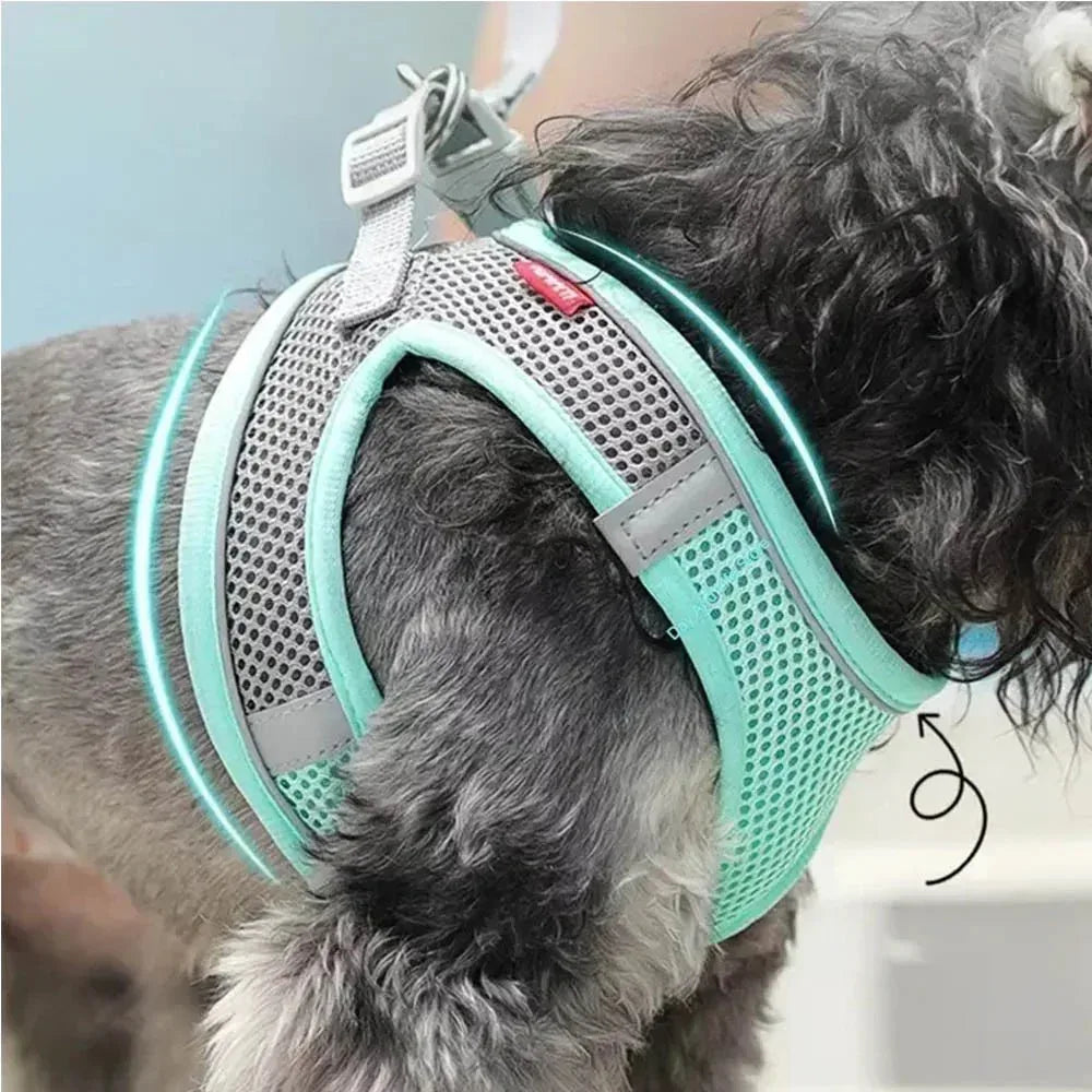 Dog Harness & Collar Set - Happy Tails - paws & love
