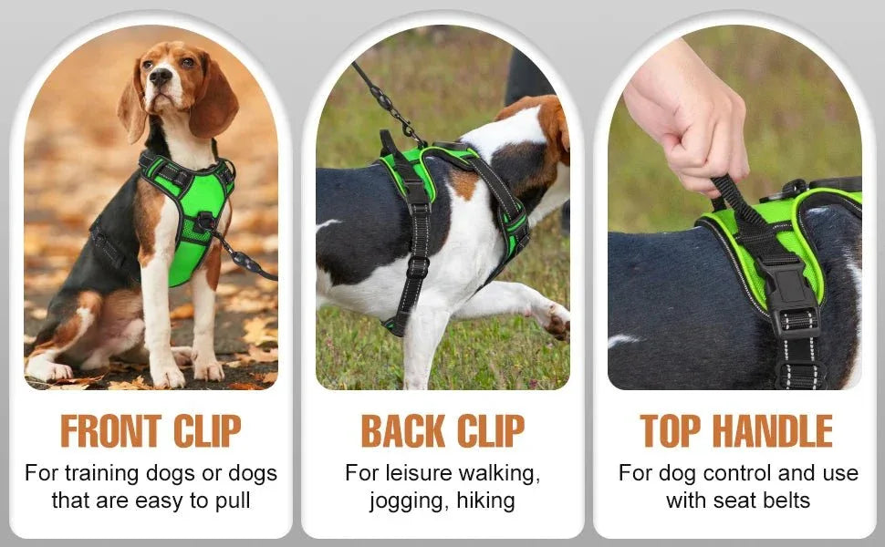 LED Dog Harness - Happy Tails