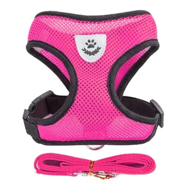 Cat Harness for Outdoor Adventures - Happy Tails - paws & love