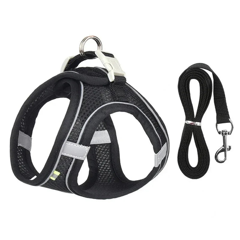 Leash & Harness Set for Small Dogs - Happy Tails