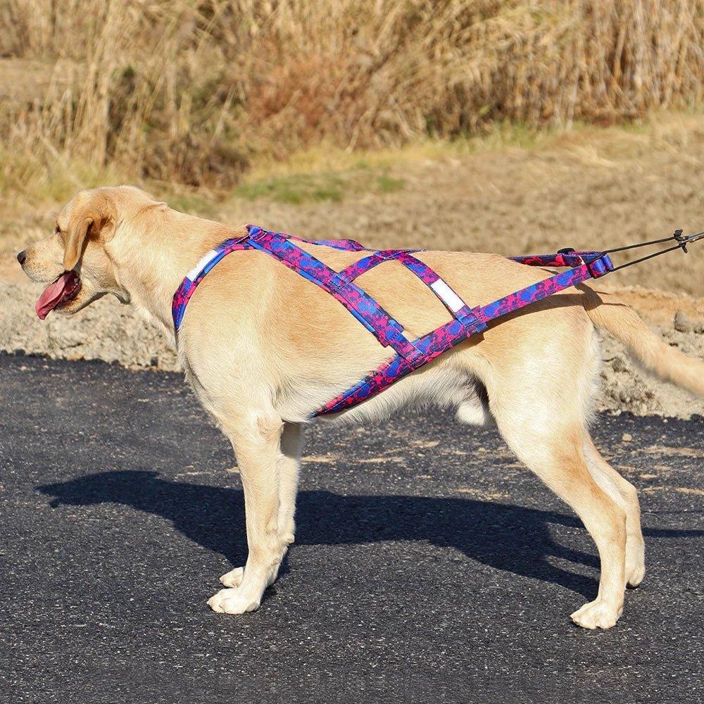 Dog Sledding Harness - Happy Tails