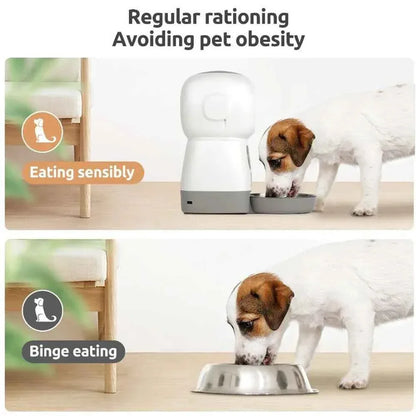 Automatic Pet Feeder - Happy Tails - paws & love