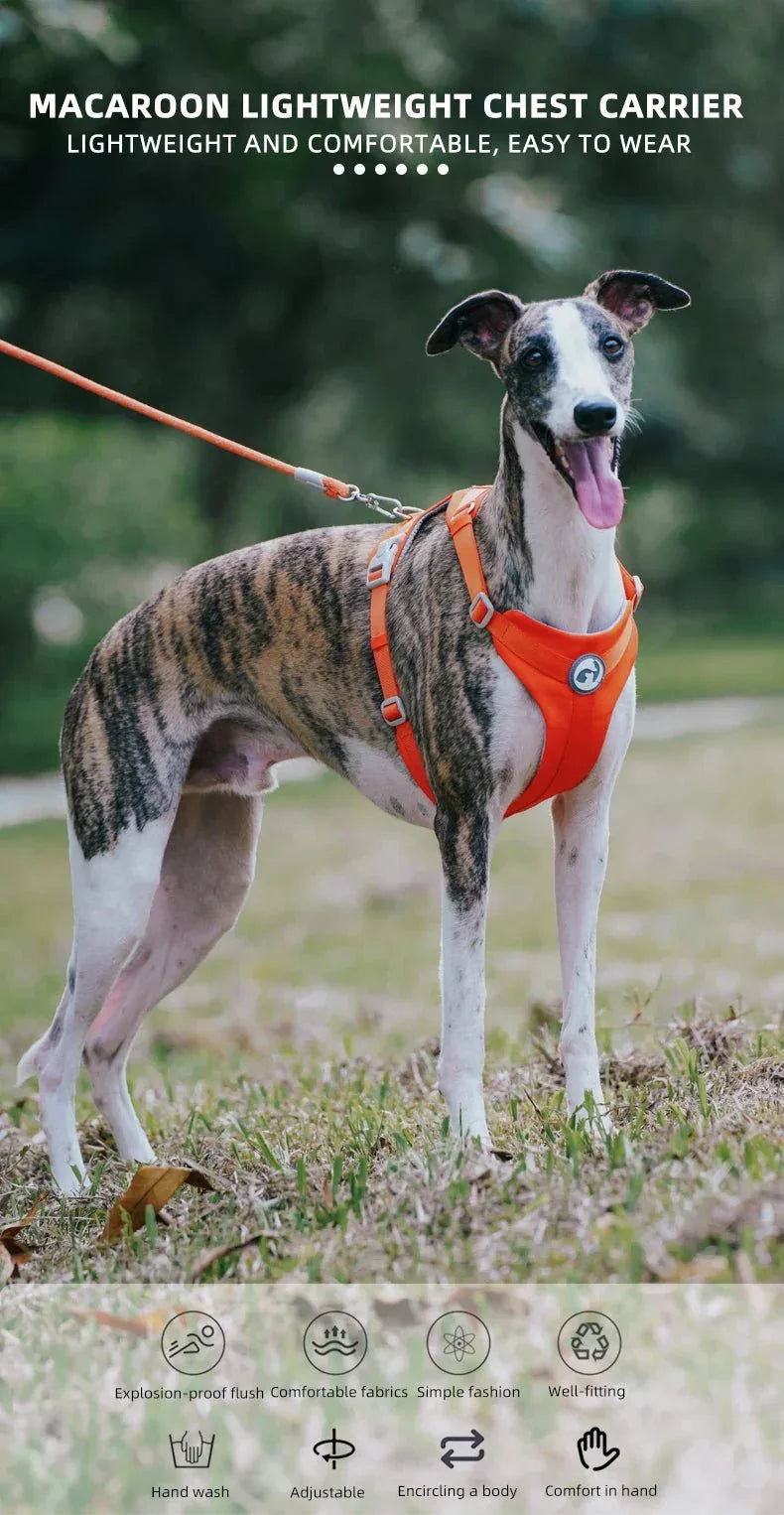 Adjustable Pet Harness - Happy Tails - paws & love