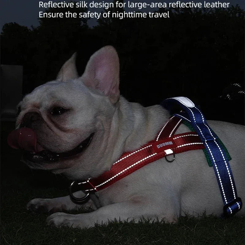 Dogs Harness Saddle - Happy Tails