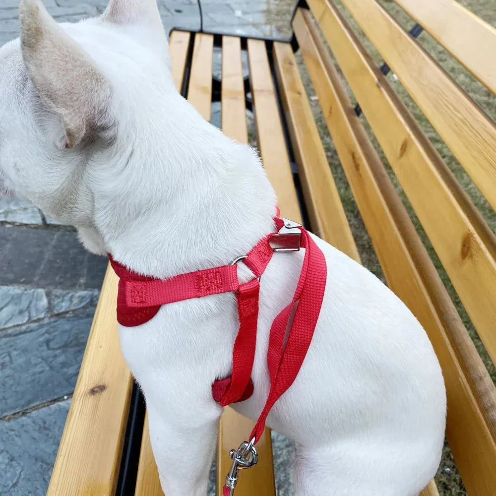 Cute Little Pet Harness - Happy Tails